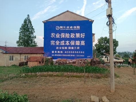 宜宾墙体广告的优劣势你知道吗？